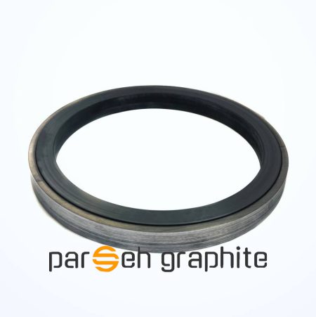 رینگ گرافیتی داخل استیل پارسه گرافیت